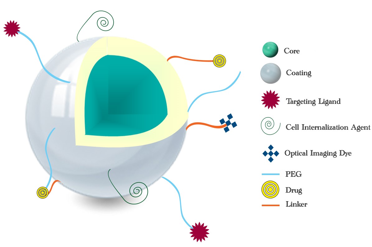 Figure8. Schematic of a theranostic nanoparticle