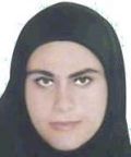 Bahareh Rasaeifar Bahareh Rasaeifar