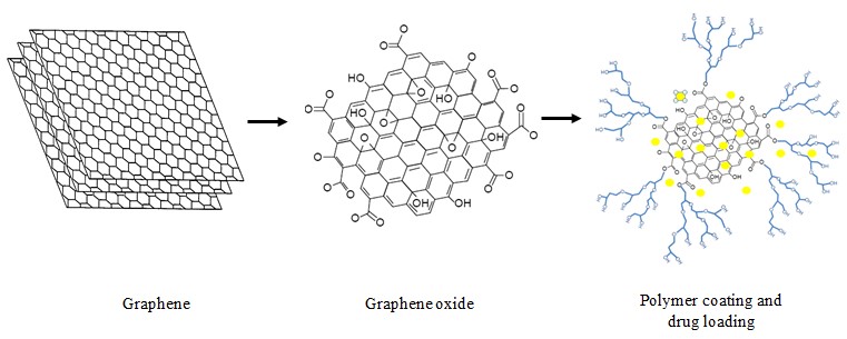 Figure3. Graphene oxide as drug delivery system.