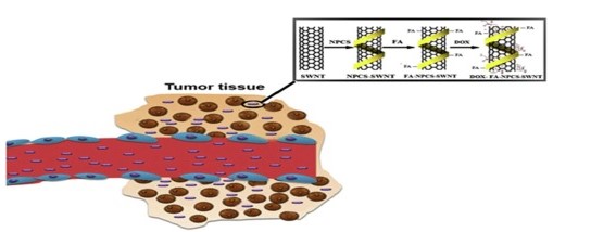 Figure6. CNTs as nanocarriers for drug delivery.