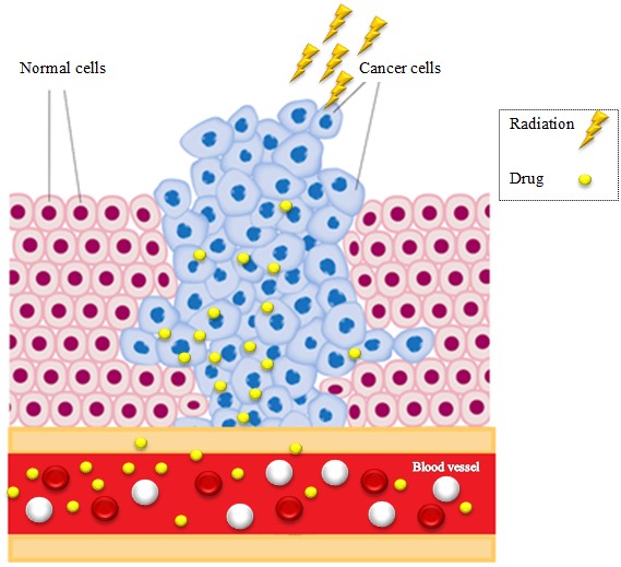 Research | Dr.Zarrabi Official Website-Fig-16 